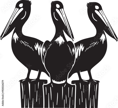 Wallpaper Mural A majestic big brown pelican with pink feathers on its wing stands near the ocean water, showcasing its large bill and white plumage in a beautiful nature wildlife scene Torontodigital.ca