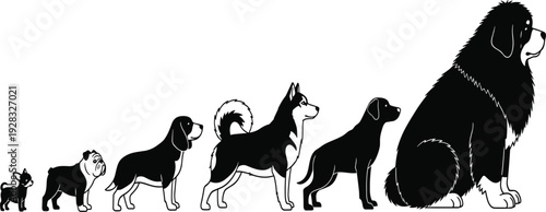 Dog Breed Size Comparison Silhouette Vector Set from Small Puppy to Large Giant Dog, Black Canine Collection for Pet Care and Infographic Design