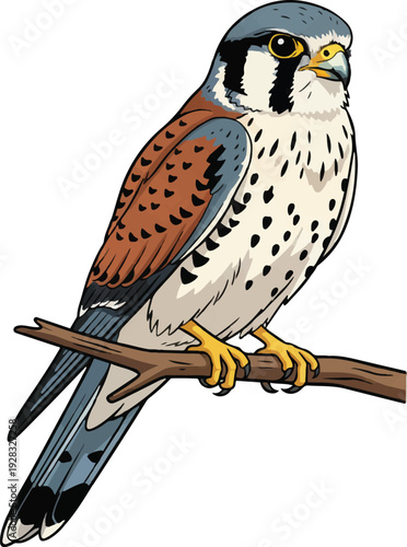 Wallpaper Mural A majestic red-tailed hawk with sharp beak and brown feathers perches on a wild branch, embodying a powerful avian predator and hunter in nature's wildlife Torontodigital.ca