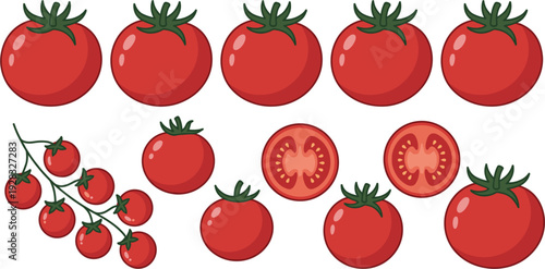 Tomato Vector Set with Whole, Sliced, and Clustered Illustrations for Food, Cooking, and Agriculture Designs