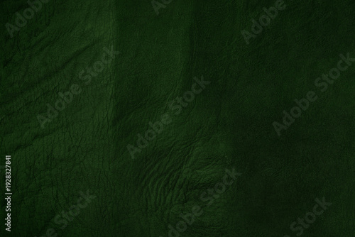 Beautiful green background with leather texture