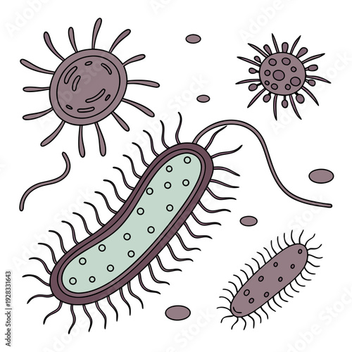Of bacteria and viruses on white background microorganisms