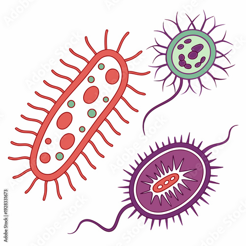 Colorful of bacteria and microorganisms microbes germs