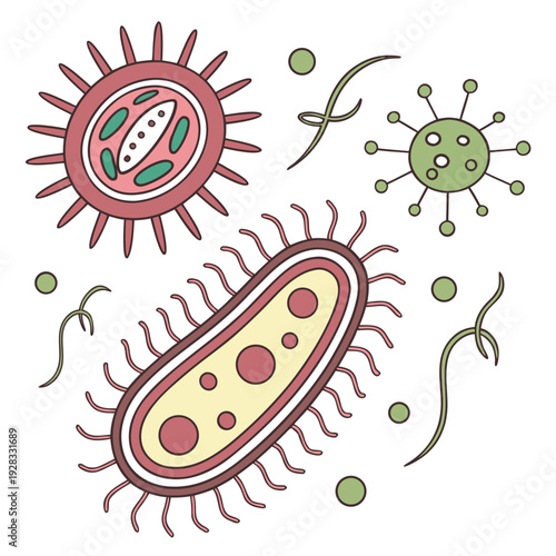 Of bacteria and viruses in various shapes and colors