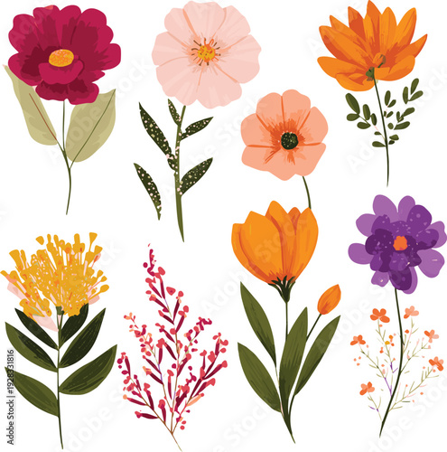 Create a Flat vector birth flowers collection vector art of white background