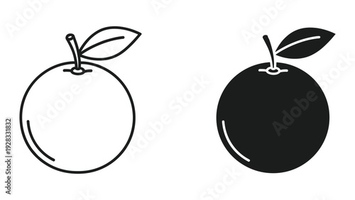 Orange Fruit Icon Set: Outline and Silhouette Isolated on White Background