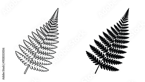 Black and White Fern Frond Line Art and Silhouette