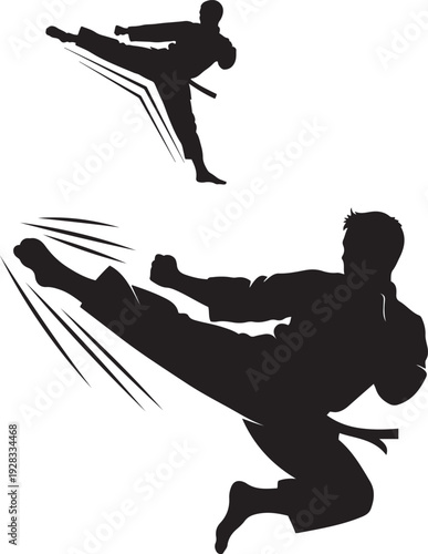 Martial Arts Silhouettes of Two Fighters Performing Kicks in Action White Background