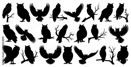 Owl Silhouettes Big Collection Perched and Flying Birds Isolated on Transparent Background