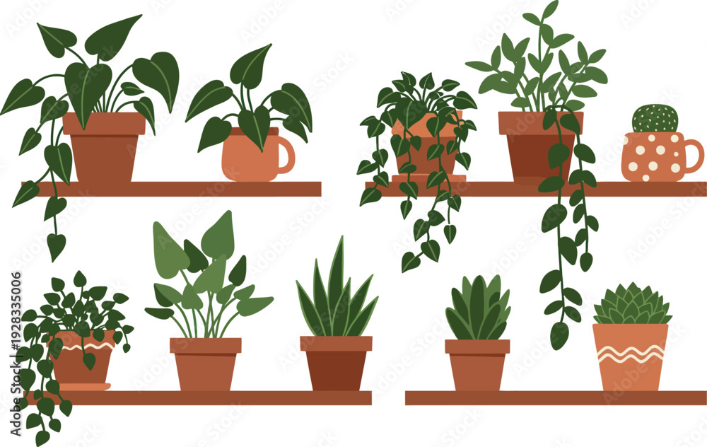 Obraz premium A fresh set of isolated potted plants and herbs with green leaves and rosemary growing in white flowerpots for spring home gardening