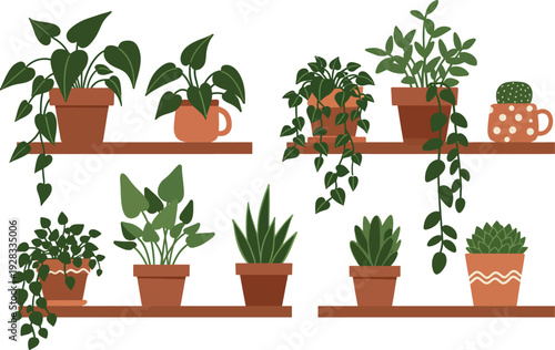 A fresh set of isolated potted plants and herbs with green leaves and rosemary growing in white flowerpots for spring home gardening