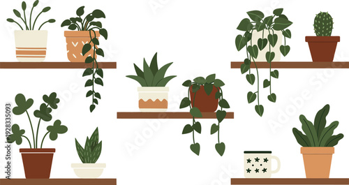 A vibrant set of plants in pots features green leaves and colorful flowers, creating a natural garden design perfect for home interior decoration or a sunny room window illustration