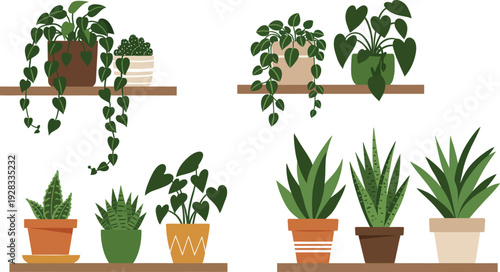 Potted flowers and green houseplants with lush leaves sit on a wooden table against a white background, showcasing nature and decorative growth in a clean home gardening setup