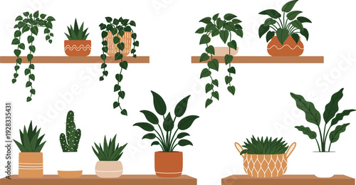 A set of fresh potted plants and flowers with green leaves, featuring a cactus, succulent, and herbal rosemary isolated for home garden decoration
