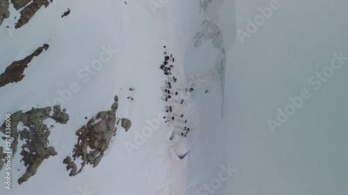 Wallpaper Mural Glaciar Vinciguerra, Ushuaia, Argentina, Patagonia Torontodigital.ca