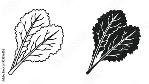 Set of two stylized beet leaves, black outline and silhouette
