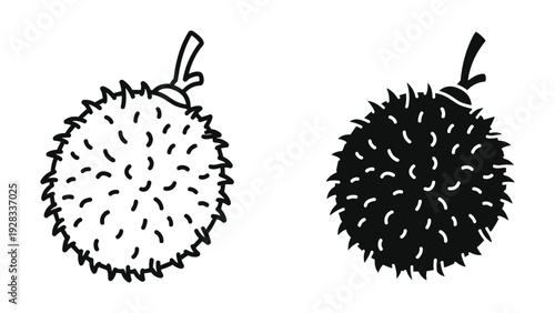 Durian Fruit Icons: Line Art and Silhouette, Vector Graphics