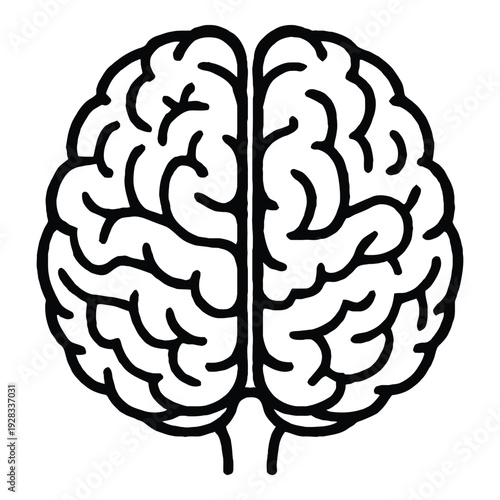 Top view schematic of a human brain, simplified outline for medical or science concepts