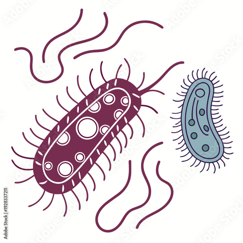 Bacteria with flagella and pili on white background