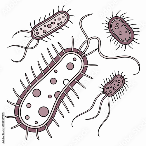 Bacteria with flagella and spines microorganisms microbes