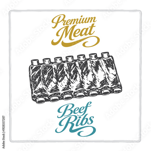Beef ribs illustration with premium meat lettering in vintage engraving style. Hand drawn rack of ribs for butcher branding, steakhouse menus, labels and food packaging design. Part of set.