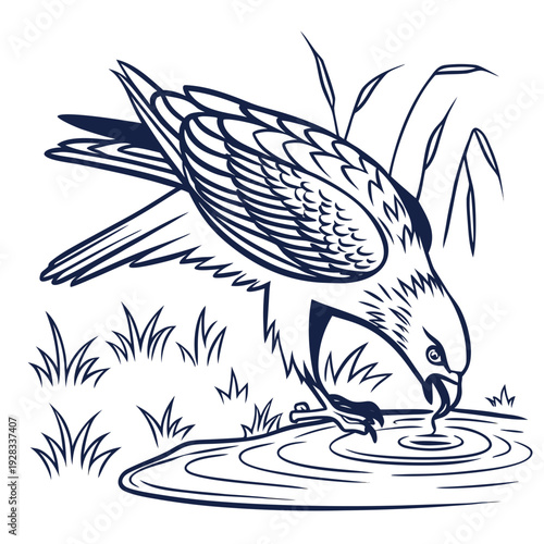 Bird drinking from pond with ripples and grass water