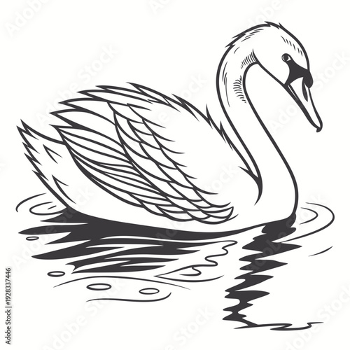 Black and white swan swimming on water with ripples