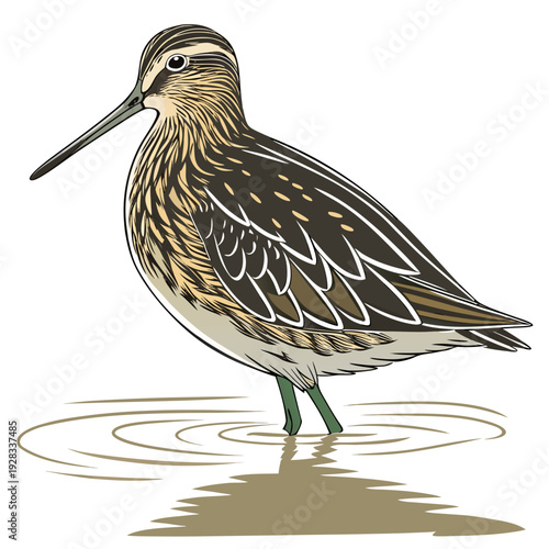 Brown and black bird standing in water with long beak