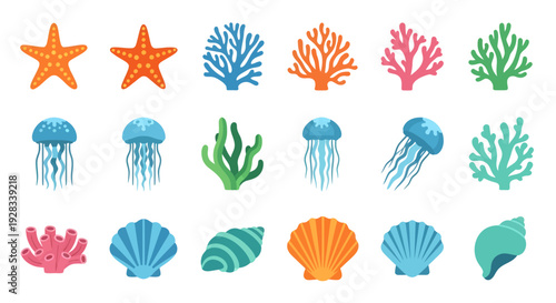 A vibrant collection of colorful ocean creatures and plants, including jellyfish, seashells, and coral, displayed from a straightforward viewpoint in a digital illustration.