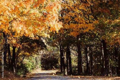 Shots from grafton Il this past fall/autumn