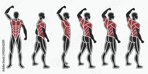 A sequence of a person performing a dynamic exercise routine with weights Vector
