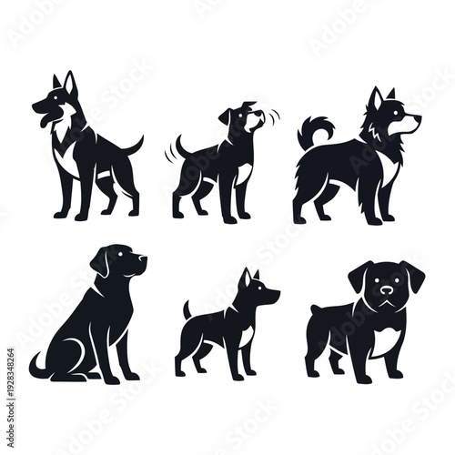 Collection of six ornate masks with feathered designs displayed together in a two-row arrangement