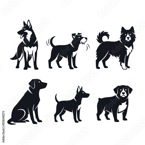 Collection of six ornate masks with feathered designs displayed together in a two-row arrangement