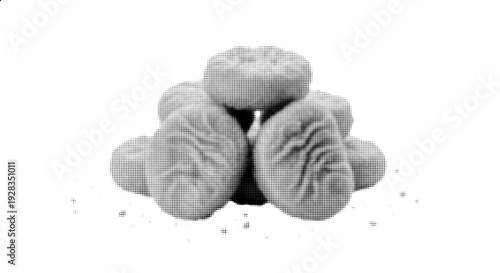 Halftone Chicken Nuggets Vector Illustration Isolated on White Background