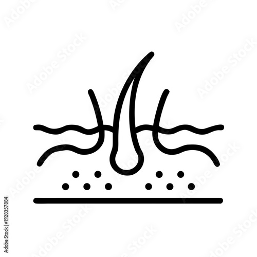 Hair Root for web and graphic design