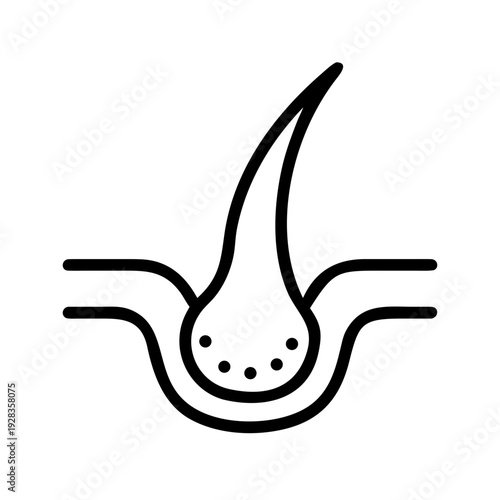 Healthy Hair Follicle for web and graphic design