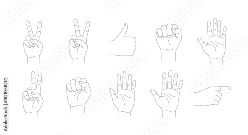 Collection of hand gestures illustrated in various positions and signs