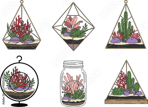 Geometric glass terrarium collection, indoor succulent garden containers, modern botanical decor illustration, hanging plant terrariums isolated vector design set bundle