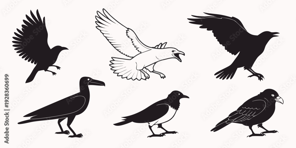Obraz premium A variety of birds in flight and perched, showcasing different species and postures Vector