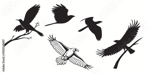 A group of various birds flying in a clear sky with outstretched wings. Vector
