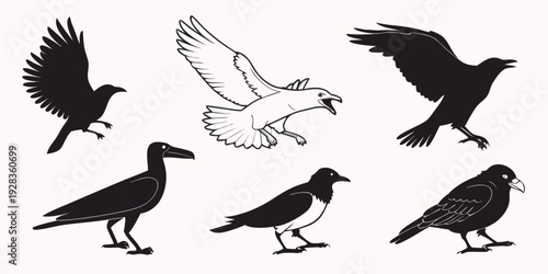 A variety of birds in flight and perched, showcasing different species and postures Vector