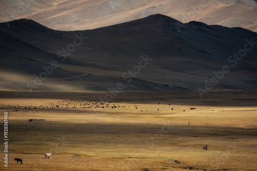 Wide landscape of the Central Asian plateau featuring a herd of yaks grazing in a patch of sunlight, horses, and a motorcyclist in a remote mountain valley at dusk.