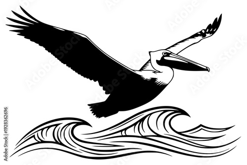 A black and white illustration of a pelican flying over waves, beak, bird, black, fly, illustration, image, pelican, profile, sea, spread, water, wave, white, wing, against transparent background