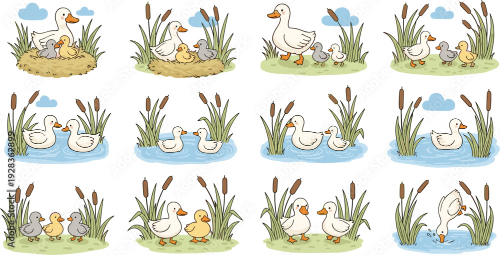Ταπετσαρία Collection of cute duck and duckling illustrations featuring mother ducks with babies swimming in ponds nesting and walking in reeds isolated on white background for nature design