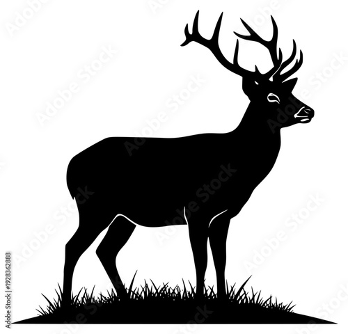 A silhouette of a deer standing on a hill with grass, animal, antler, black, deer, grass, illustration, moose, profile, reindeer, roe deer, stand, trumpet, against transparent background