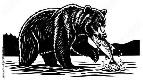 te illustration of a bear with a fish in its mouth, bear, black, brown, brown bear, catch, drawing, fish, illustration, image, mouth, salmon, stand, trout, water, white, against transparent background