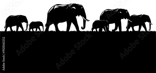 A silhouette of a herd of elephants walking across a grassy plain, animal, baby elephant, elephant, family, grass, grassy, herd, plain, profile, savanna, stand, walk, against transparent background