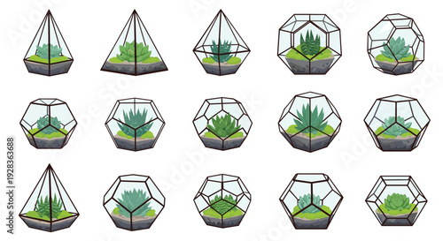 A set of fifteen geometric glass terrariums with black frames, containing green succulent plants, is arranged on a white background.