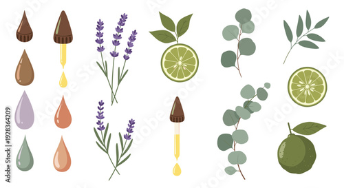An aromatherapy set with essential oil droppers, lavender, eucalyptus, and lime, illustrated in a textured, pixelated style.