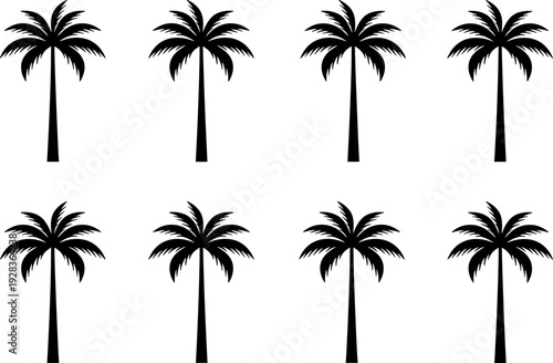 Palm tree silhouette vector illustration collection, eight identical black icons with straight trunks and symmetrical fronds for tropical landscape design